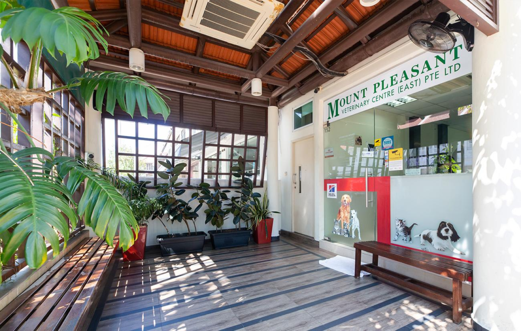 Entrance and outdoor waiting area of Mount Pleasant Veterinary Centre.